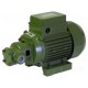 Bomba de engrenagem SAER - CF |  |  |