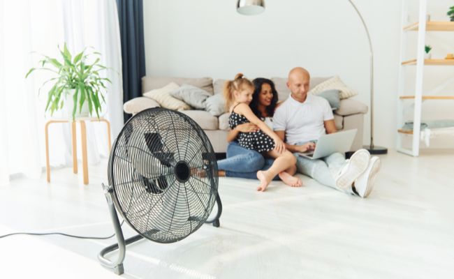 Ventilador
